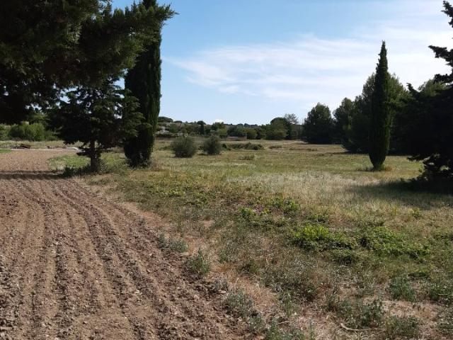 Terrain vente à Lodève, Saint-pargoire