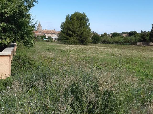 Terrain vente à Lodève, Saint-pargoire