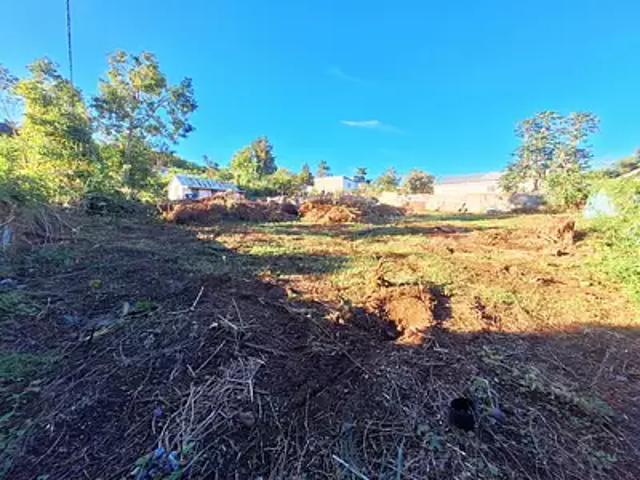 Terrain vente à La Réunion