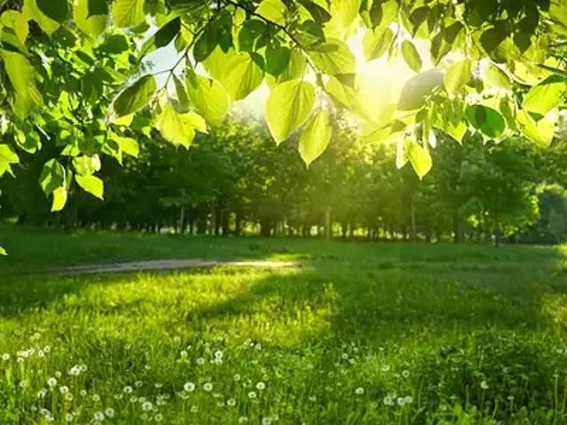 Terrain vente à Mont-de-Marsan, Saint-paul-en-born