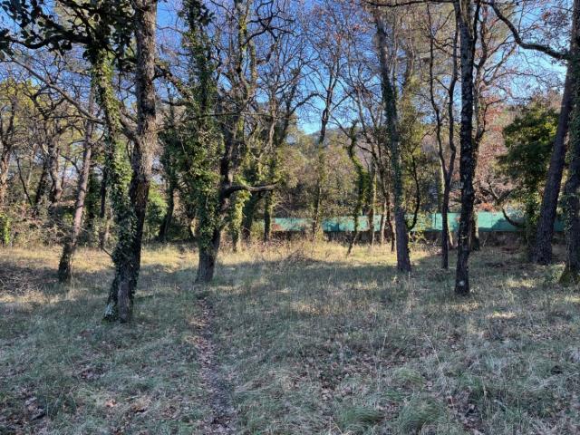 Terrain vente à Saint-paul-trois-châteaux