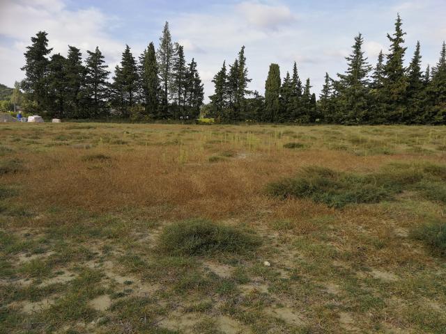 Terrain vente à Saint-paul-trois-châteaux