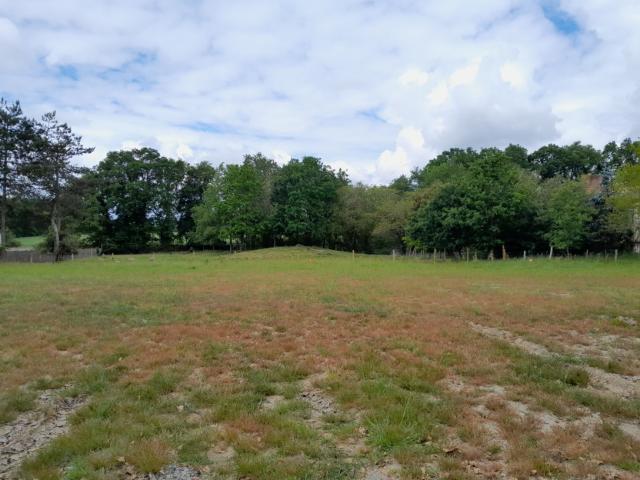 Terrain vente à Saint-Père-en-Retz, Loire-Atlantique