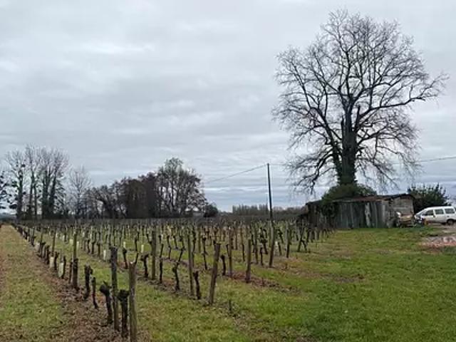 Maison vente à Libourne, Saint-pey-d'armens