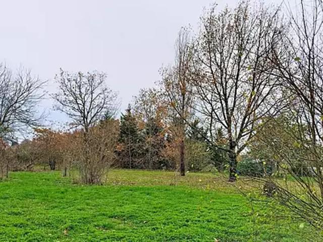 Terrain vente à Langon, Saint-pierre-d'aurillac