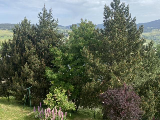 Maison vente à Prades, Saint-pierre-dels-forcats