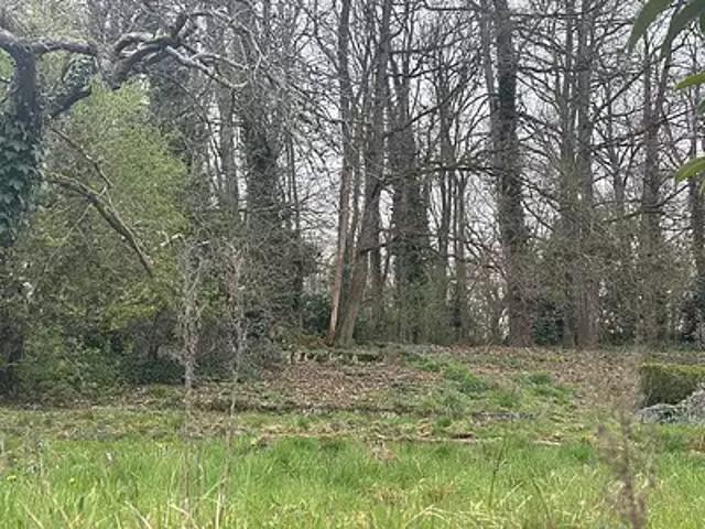 Terrain vente à Fontainebleau, Saint-pierre-lès-nemours
