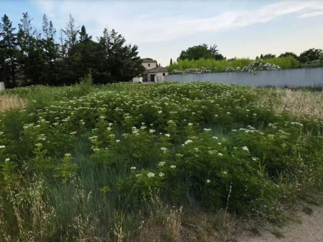 Terrain vente à Nîmes, Saint-quentin-la-poterie