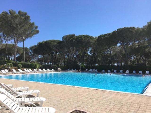 Appartement vente à Arrondissement de Draguignan, Saint-raphaël