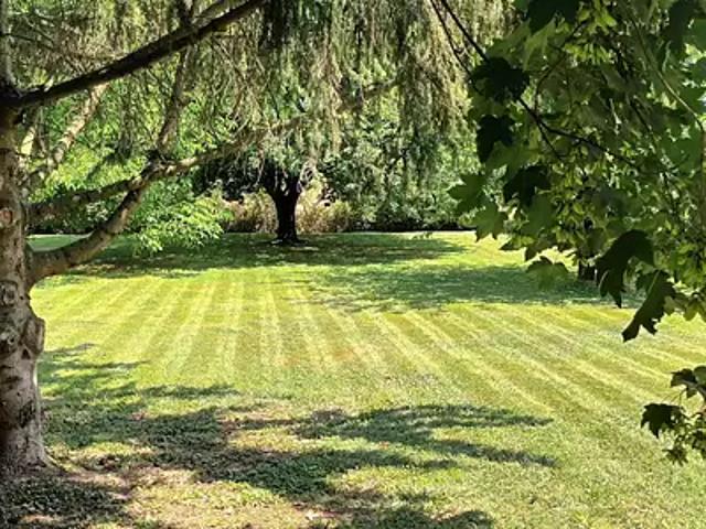 Terrain vente à Les Sous-Nevres, Saint-romain-de-jalionas