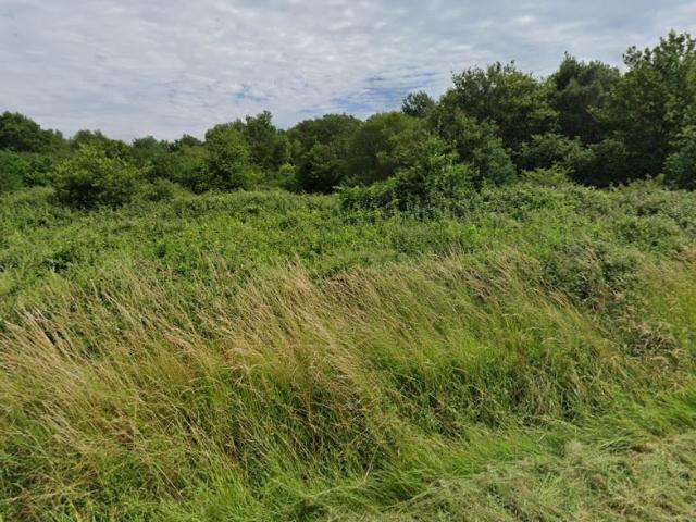 Terrain vente à France métropolitaine, Saint-savin