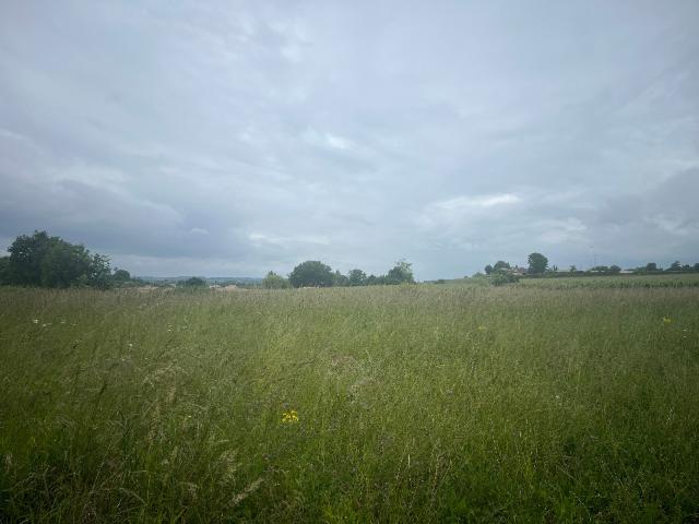 Terrain vente à Blaye, Saint-savin