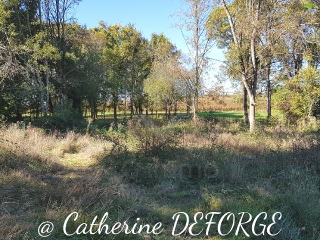 Terrain vente à France métropolitaine, Saint-savin