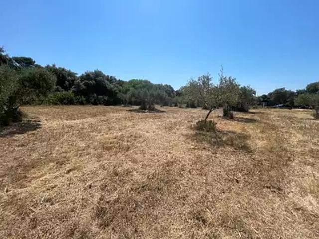 Terrain vente à Nîmes, Saint-siffret