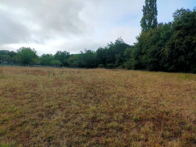 Terrain vente à France métropolitaine, Saint-sulpice-de-cognac