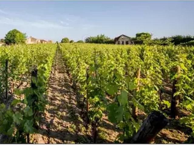 Terrain vente à Libourne, Saint-sulpice-de-faleyrens