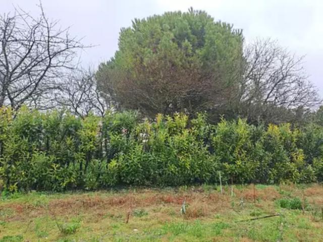 Terrain vente à Rochefort, Saint-sulpice-de-royan