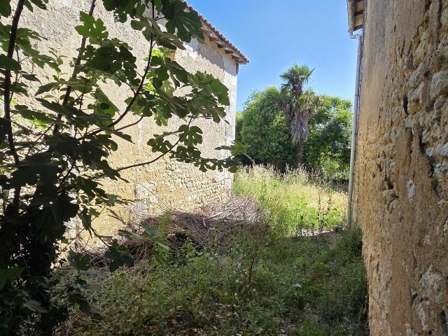 Maison vente à Jonzac, Saint-thomas-de-conac