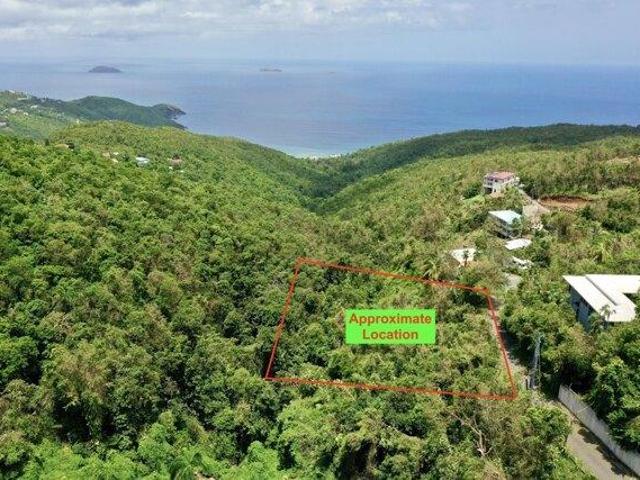 Land for sale in Saint Thomas, Missouri