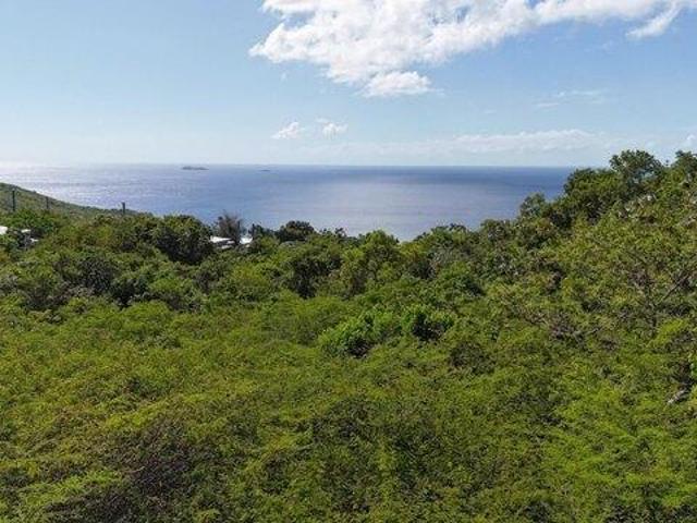 Land for sale in Saint Thomas, Missouri