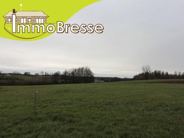 Terrain vente à Bourg-en-Bresse, Saint-trivier-de-courtes
