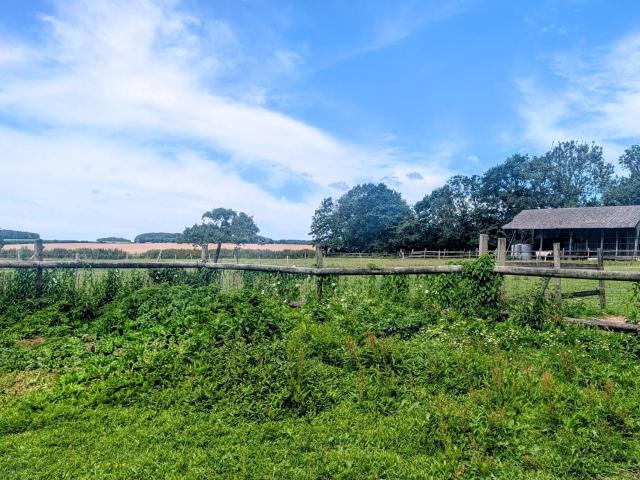 Maison vente à Saint-Vaast-Dieppedalle, Seine-Maritime