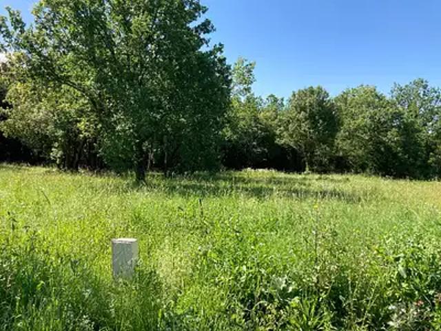 Terrain vente à Saint-vaize, Le Châgneau