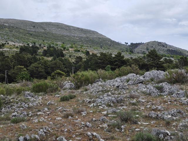 Terrain vente à Grasse, Saint-vallier-de-thiey