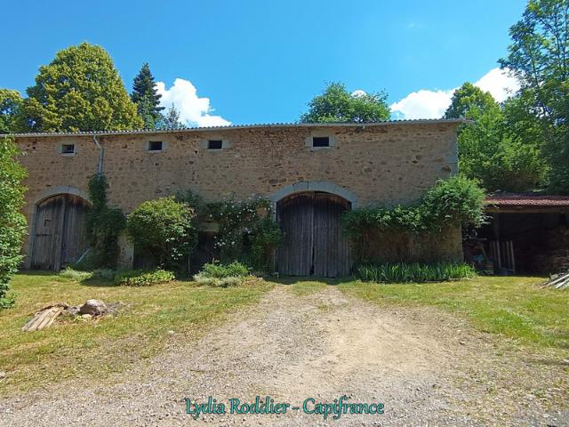 Ferme vente à Thiers, Saint-victor-montvianeix