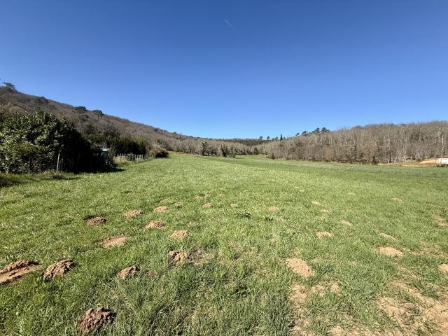 Terrain vente à Sarlat-la-Canéda, Saint-vincent-le-paluel