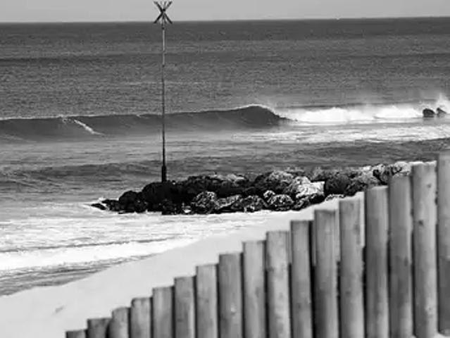Terrain vente à Saint-vivien-de-médoc Terrain vente à Saint-vivien-de-médoc