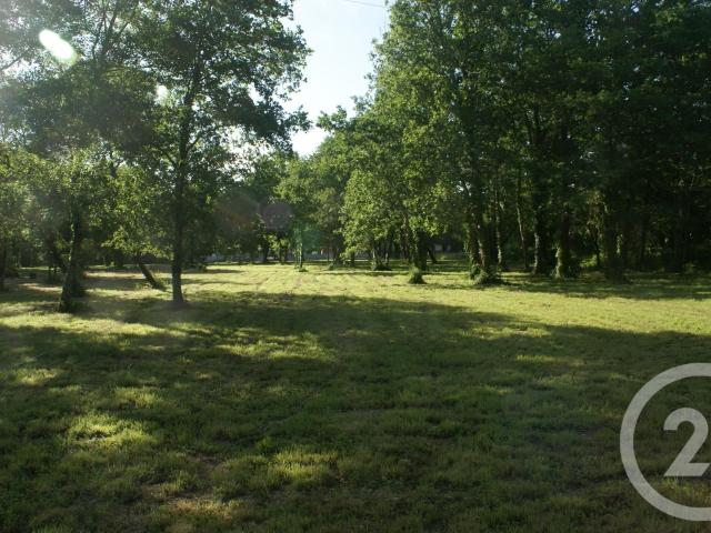 Terrain vente à Lesparre-Médoc, Saint-vivien-de-médoc