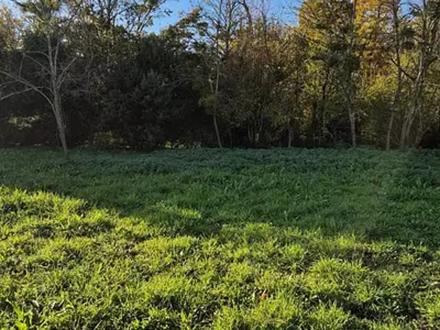 Terrain vente à Angoulême, Saint-yrieix-sur-charente