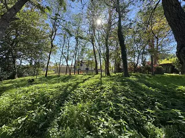 Terrain vente à France métropolitaine, Saint-yzan-de-soudiac