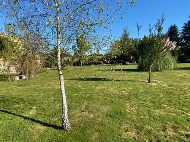 Terrain vente à France métropolitaine, Saint-yzan-de-soudiac