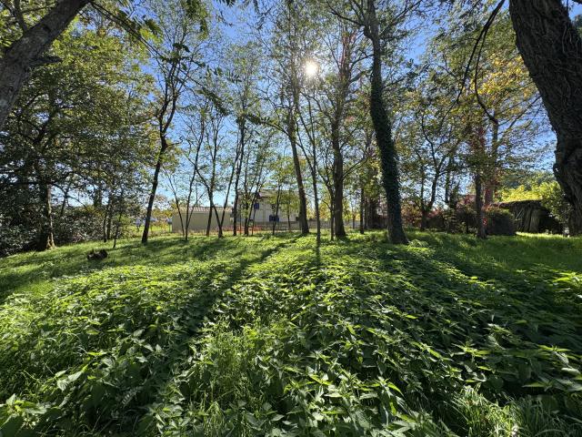 Terrain vente à France métropolitaine, Saint-yzan-de-soudiac