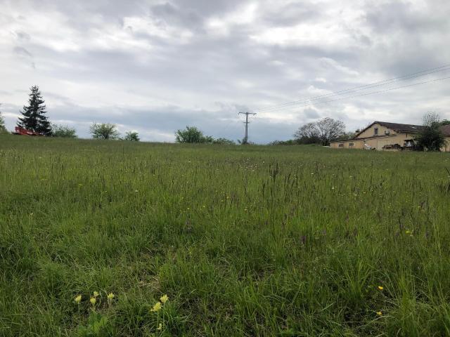 Terrain vente à Sainte-Alvère, Val de Louyre et Caudeau