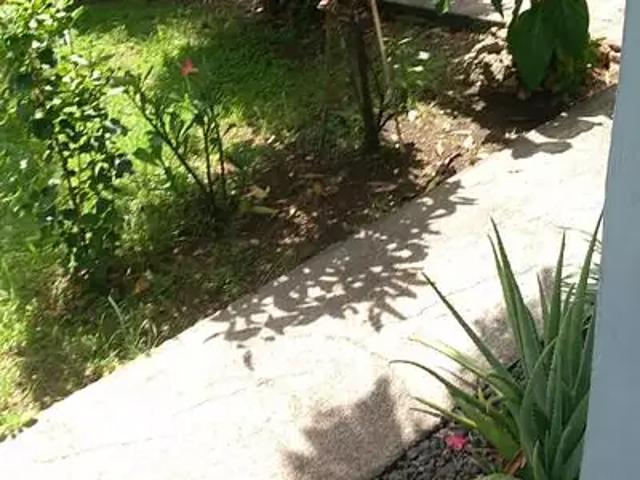 Maison location à Guadeloupe