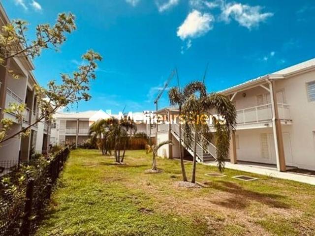 Appartement vente à Guadeloupe