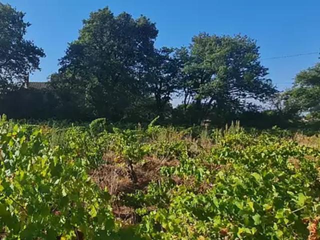 Terrain vente à Carpentras, Sainte-cécile-les-vignes