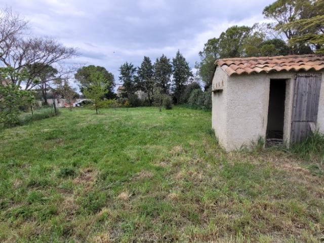 Terrain vente à Sainte-Cécile-les-Vignes, Vaucluse