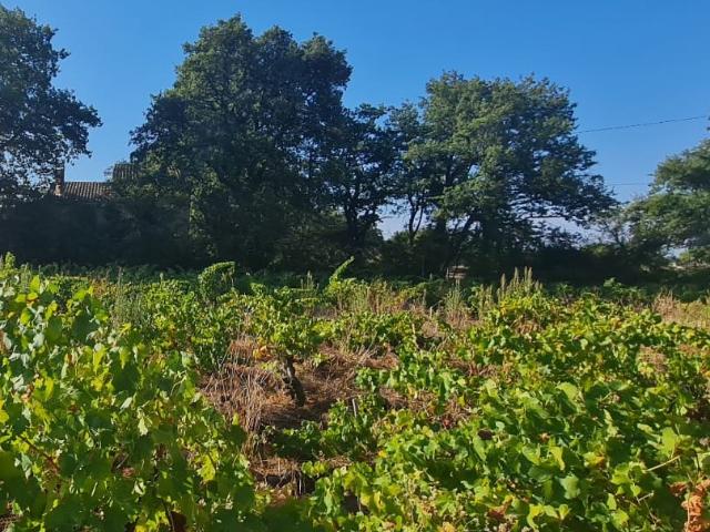 Terrain vente à Carpentras, Sainte-cécile-les-vignes