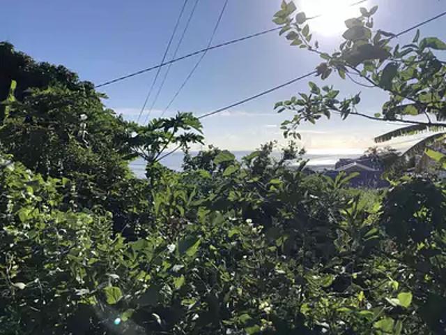 Terrain vente à La Réunion