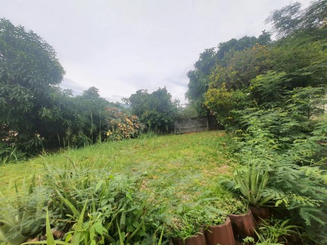 Maison location à La Réunion