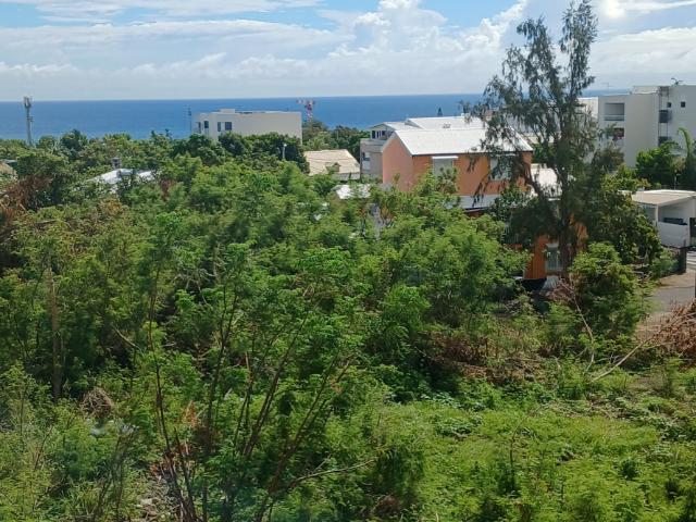 Appartement vente à La Réunion