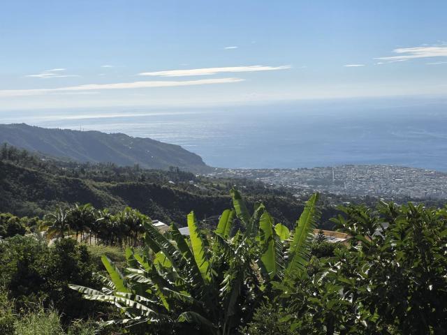 Maison vente à La Réunion