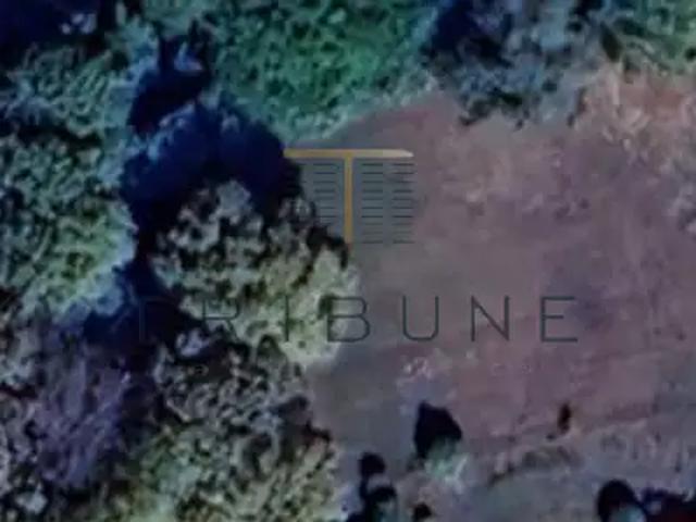 Terrain vente à France métropolitaine, Sainte-colombe-en-bruilhois