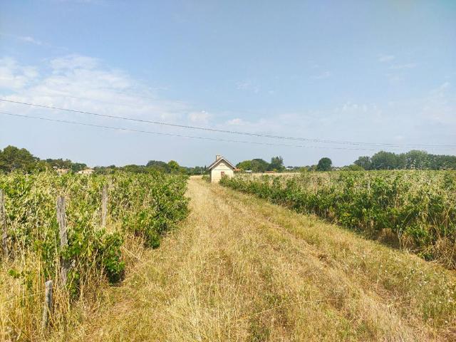 Terrain vente à Bordeaux, Sainte-eulalie