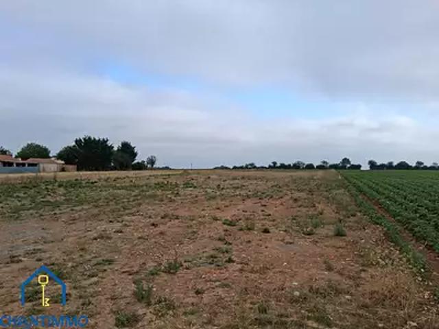 Terrain vente à Fontenay-le-Comte, Sainte-hermine