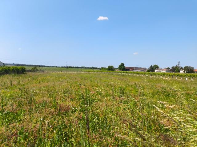 Terrain vente à Jonzac, Sainte-lheurine